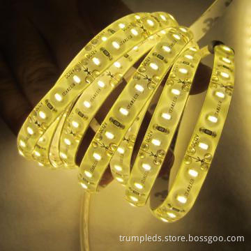 CE RoHS Waterproof-IP67 3014 SMD-1M-60SMD LED Strip